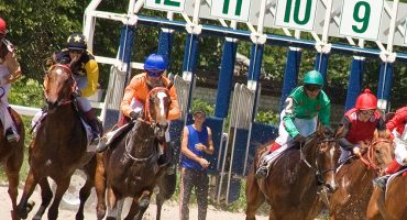 Race horses leaving the gate