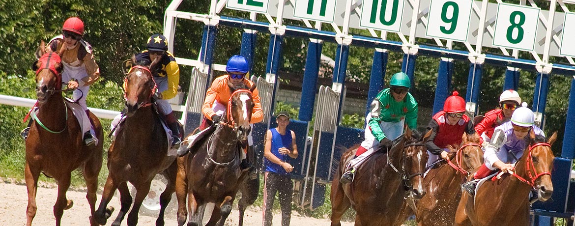 Race horses leaving the gate